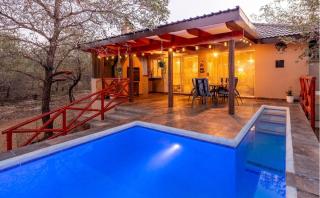 Wild Memories new luxury bush lodge next to Kruger - 9