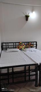 Purabi's nest - 1