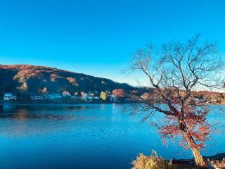 Lakefront Escape - Private Dock, Kayaks & Fire Pit - 0