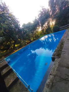 Casa de campo, amplio y natural jardín! - 1