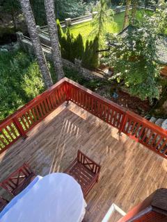 Z-Mountain Villa Brezovica for Families & Groups - 2