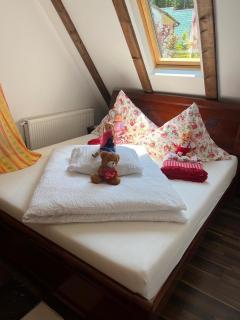 Z-Mountain Villa Brezovica for Families & Groups - 3
