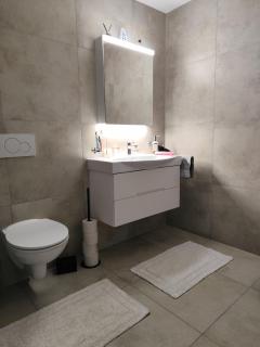 Charming Guest Room Near Lake Geneva in Villeneuve - 1