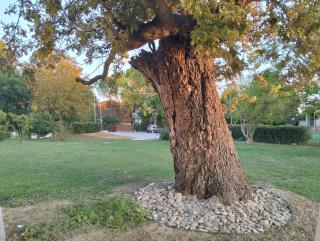 Casale Fondine - 4