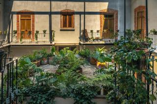 Downtown Heritage Retreat CDMX - Mexico - 9