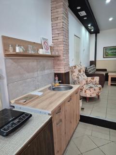 Niš Residence - 4