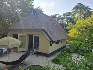 Luxury Thatched Home in Drents Friese Wold - 6