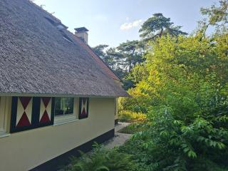 Luxury Thatched Home in Drents Friese Wold - 5