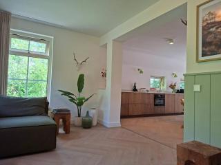 Luxury Thatched Home in Drents Friese Wold - 3