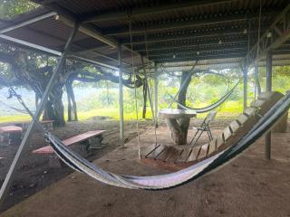 Tree house El Higueron - 2