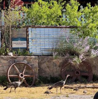 The Blue House in Mogollon, NM - 8