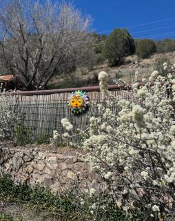 The Blue House in Mogollon, NM - 1