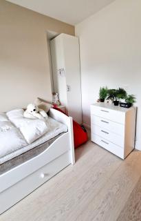 New, modern house with 6 bedrooms - 3