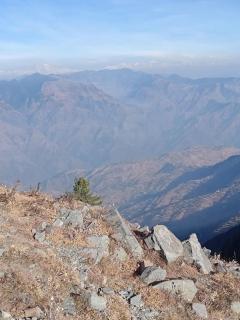 Home Food Farmstay, Sunset Views, Uttarakhand - 4