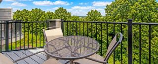 Galena 2BR Apartment with Resort Access - 8