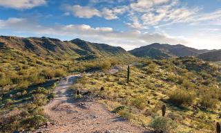 South Mountain Preserve 1BR Apartment - 5