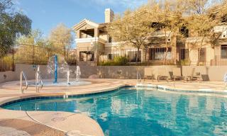 South Mountain Preserve 1BR Apartment - 4