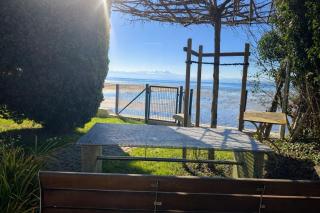 AM SEE - Seeufer - 0