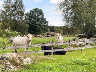 4 person holiday home in Mörlunda - 5