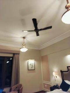 Virat villa - 3