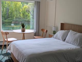 The Cozy Cat Motel at Catamount - 9