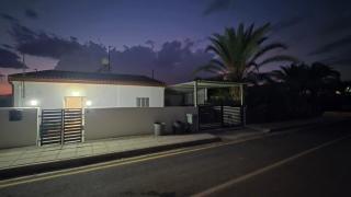 The Cyprus Nest - 3