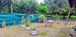 Le jardin des manguiers - Kourou - 1