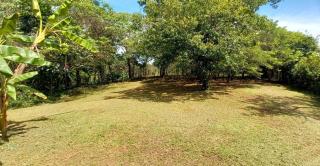 Zion Holistics Retreat & Wellness - 9