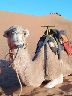 Visit Morocco Africa - 8