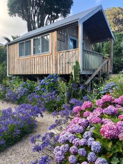 Pohara Valley Beach studio - Golden Bay - 2