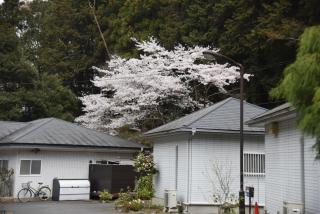 Hotel Takao Asile - 9