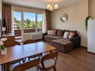 Deluxe Apartment "Detelina" 200m from SKI ROAD - 0