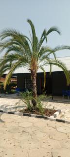 Holywood 11 Motel - 6