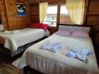 La casa del Pino - 4