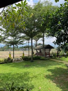 AMBOW Homestay Jungle Trekking & Village Tour - 1