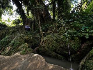 Luxury Jungle Oasis - 8