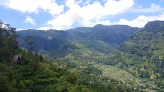 Hideaway Homestay - 1