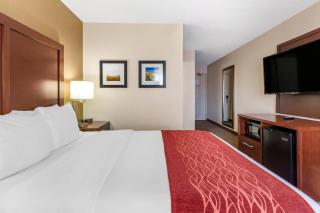 Comfort Inn Great Falls South - 3