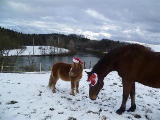 Beim Appertinger - 3
