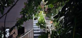 Marys Cottage - 8