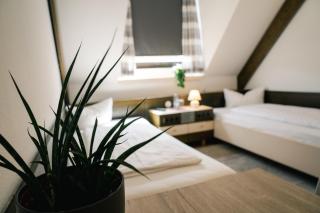 Hotel Sonne29 - 3