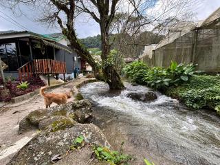อินทนนท์ บ้านพักเล่าจู Inthanon Laoju House - 5