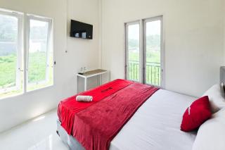 RedDoorz near Juwata Airport 4 Tarakan - 9