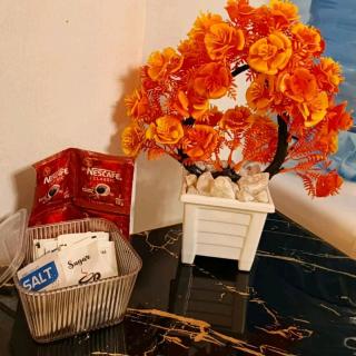 Tehi Homes Furnished Apartment - 5