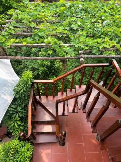 Tam Viet Homestay Hoi An - 5