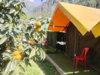 Welcome Cafe And Camps - 5