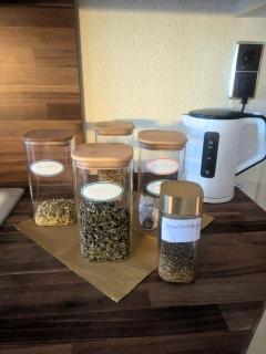 Land of Healing - Schneverdingen - 1