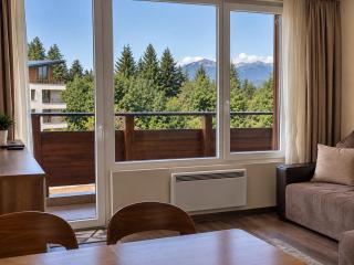 Deluxe Apartment "Detelina" 200m from SKI ROAD - 8