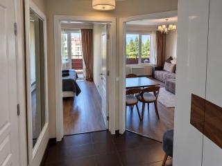 Deluxe Apartment "Detelina" 200m from SKI ROAD - 3