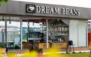 Dreamland Gold Resort & Hotel - 5